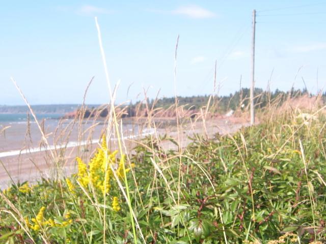 Moore'S Specialties Fundy Bay House Rental Gardner Creek Extérieur photo