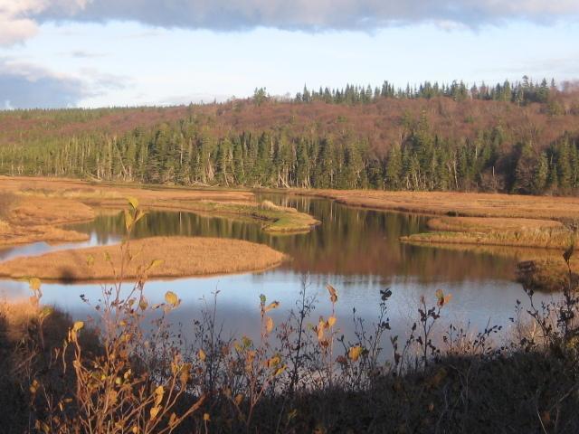 Moore'S Specialties Fundy Bay House Rental Gardner Creek Extérieur photo