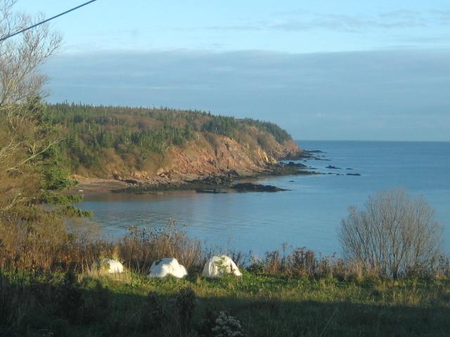 Moore'S Specialties Fundy Bay House Rental Gardner Creek Extérieur photo