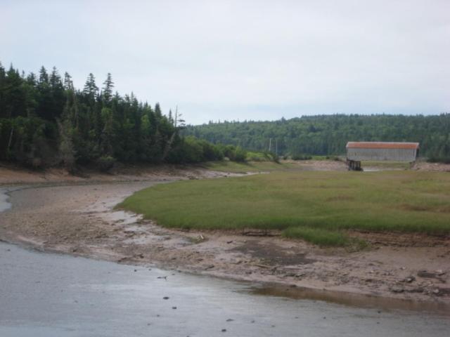 Moore'S Specialties Fundy Bay House Rental Gardner Creek Extérieur photo